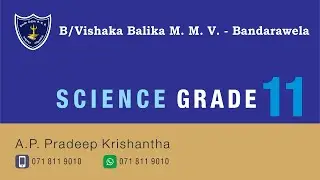 Science Grade 11 Unit 6 5