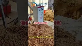 Pellet production on-site with crushed sponge,let's have a look the effect for making pellet.