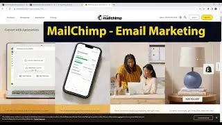 Mailchimp is the best email marketing tool for new small business
