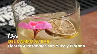 Del Campo al Bar: Licores Artesanales con Yuca y Plátano - TvAgro por Juan Gonzalo Angel