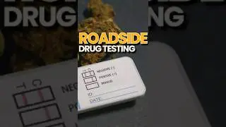 Know Your Rights During A Roadside Drug Testing | New South Wales