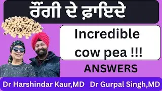 76 - incredible cow pea! Benefits of rongi!!