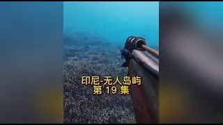 Ep19 Indonesia - The Island With No Name | Hunt for food under the ocean