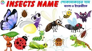 Insects Name 🐞🐜 | Name of insects | Learn Insects for Kids | Insects Name in Bengali to English