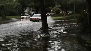 Savannah Street Flooding