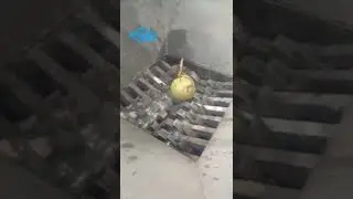 Coconut shell shredder Coconut shell crusher