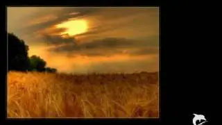 BUDDAHEADS - When the Blues catch up with you