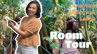 Daintree Wilderness Lodge Room Tour