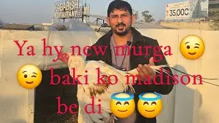 Welcome back to lahore 😇aj new murga aya😲baki ko madison di 💖 😊 