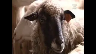 Łódzkie jakiego nie znacie odc. 6_2015