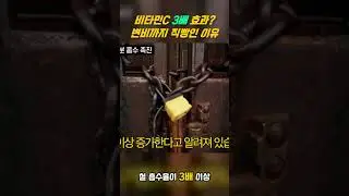 비타민C 3배 효과  변비까지 직빵인 이유