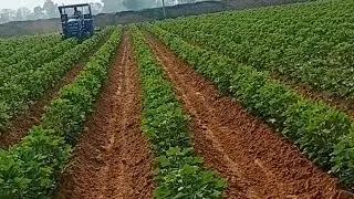 Nrma ki fasal me silar ke saath kul pani ki bajt