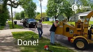 Removed Large Limb Leaning Over The House - 4 Seasons Tree Service Springfield, MO.