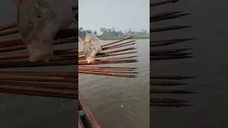 Amazing River Fishing Trick in Village  | #shorts #fishingvideo #fishing #fishinglife #fishvideo #yt