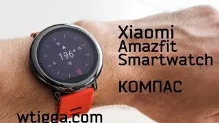Xiaomi Smartwatch (Amazfit) - Компас / Compass