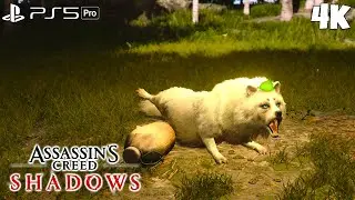 Legendary White Tanuki Sumi-e Location (Omi) | Shigaraki Hamlet &ndash; AC Shadows Guide