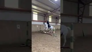 JUMPINGH😍😍😍//@andrasbodnar7116 #horse #horseenthusiast #equestrianjourney #horsefan #pony