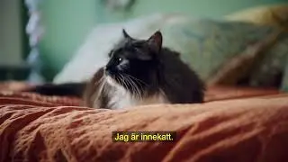 Innekatt blir utekatt - avsnitt 2