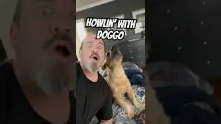 Ron Hed Howling With Doggo @bladerope #BorderTerrier ￼