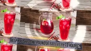 Weight Loss Tea, Red Tea Detox Program, Recipe, Book, Review, Dieters Tea!