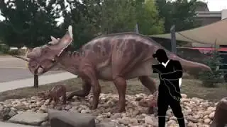 Cody Creelman, Dino Vet