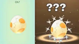 Pokemon Go _Hatching egg 5km ||Shiny Tyrogue