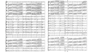 Grzegorz Fitelberg - Symphony No. 1 in E-Minor Op. 16 (Borowicz)