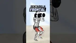 4 Mejores ejercicios para cu&aacute;driceps con mancuernas. 🦵