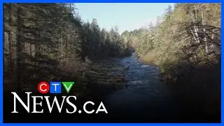Cowichan River tops list for most endangered B.C. waterways in 2026