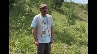 You&rsquo;re trying to enjoy a nature retreat but you meet an Average Redditor 