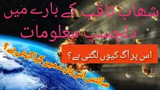 Interesting information about Shahab Saqib/شھاب ثاقب Urdu Hindi.