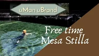 Free Time: Mesa Stila