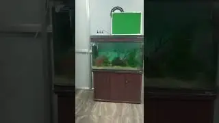 ARDV OFFICE VEDIO 
