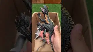 Dinosaur Jurassic World Toy In The Box ASMR Review