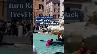 Climate activists turn Rome's Trevi Fountain black
