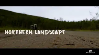 Northern Landscape