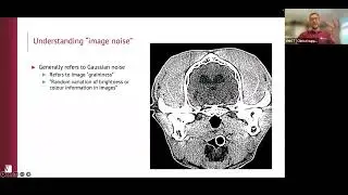 CT Webinar: How and when to perform CT reconstructions for veterinary patients