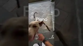 Pianoooooo