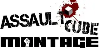 AssaultCube Montage