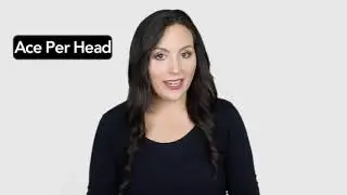 Review Of The Best Pay Per Head Companies