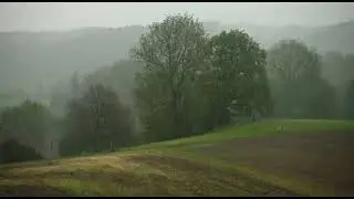 1 Hour of heavy rainfall on a farm- Relaxation, Sleep, Meditation, Study, Stress relieving