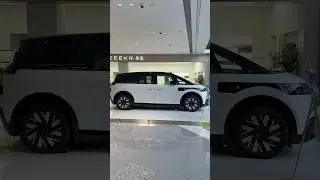 2025 New ZEEKR MIX Luxury EV MPV #short #shorts