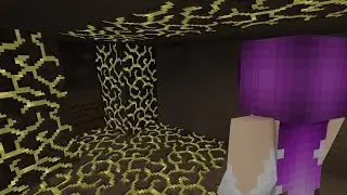 Secret Of The Cave Minecraft Roleplay Wynverns Wings | Episode 12
