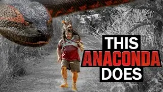 The Anaconda reboot nobody asked for