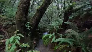 this is fpv,  first person view, flying perspective videos