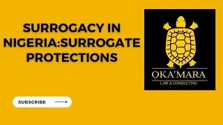 Surrogacy in Nigeria: Surrogate Protections