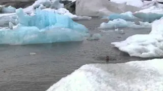 Wim Hof, The Iceman