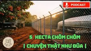 5  HECTA CHÔM CHÔM  | CHUYỆN THẬT NHƯ ĐÙA