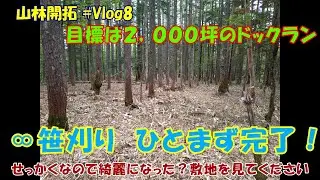 【山林開拓】Vlog.8　&infin;笹刈りをひとまず完了とします　見通しが良くなった山林を見てください