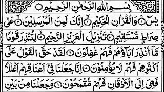 Surah Yaseen (Yasin) Full With Arabic Text | Peaceful Quran Recitation | Day #90 | Open Quran Sharif